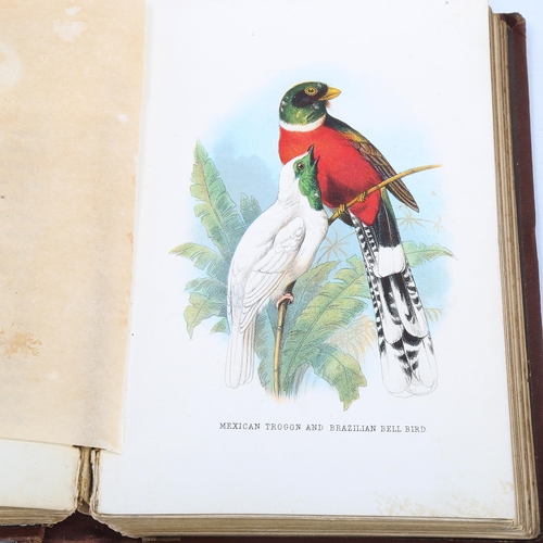 1115 - Beautiful Birds In Far Off Lands, by Mary and Elizabeth Kirby, published by T Nelson and Sons London... 