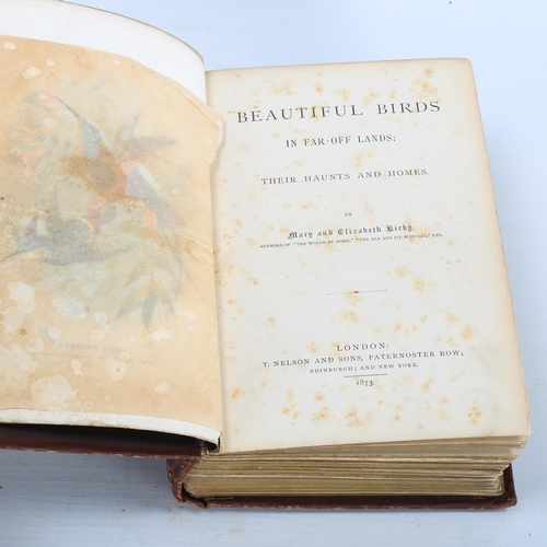 1115 - Beautiful Birds In Far Off Lands, by Mary and Elizabeth Kirby, published by T Nelson and Sons London... 