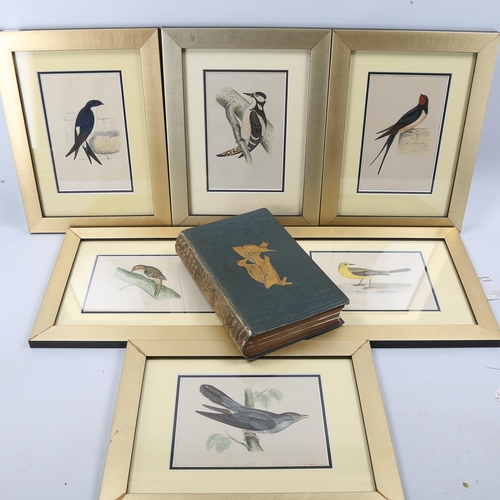 1116 - Morris's British Birds, by Rev F O Morris, First Edition Volume II, 50 plates present from 60 (the 1... 