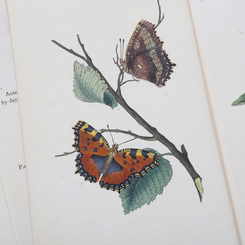 1120 - Natural History Of British Insects, by Edward Donovan, 5 loose plates, and Natural History of Britis... 