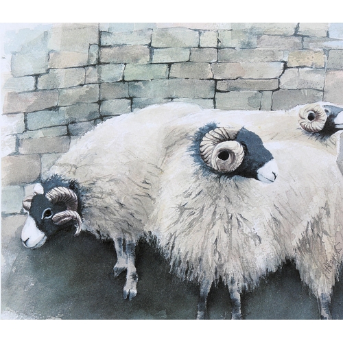 1579 - Mary Ann Rogers (XX-XXI), limited edition print on paper, Three Ewes, signed, Ed. 63/490, 26cm x 29.... 