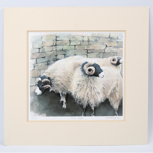 1579 - Mary Ann Rogers (XX-XXI), limited edition print on paper, Three Ewes, signed, Ed. 63/490, 26cm x 29.... 