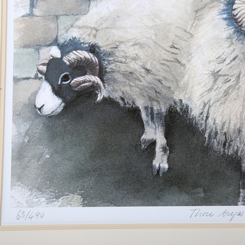 1579 - Mary Ann Rogers (XX-XXI), limited edition print on paper, Three Ewes, signed, Ed. 63/490, 26cm x 29.... 