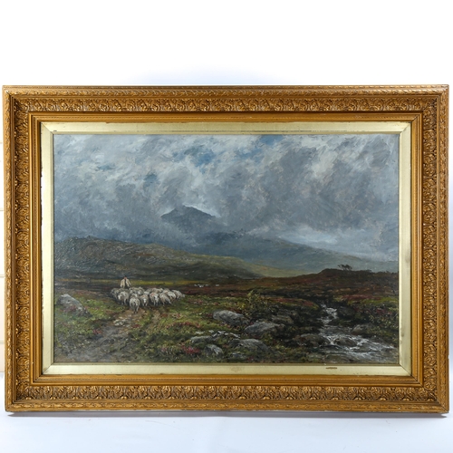 1598 - 19th century Scottish School, oil on canvas, shepherd and sheep in the Highlands, signed with monogr... 