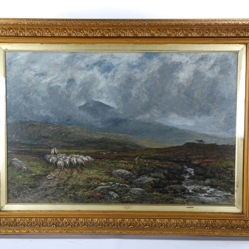 1598 - 19th century Scottish School, oil on canvas, shepherd and sheep in the Highlands, signed with monogr... 