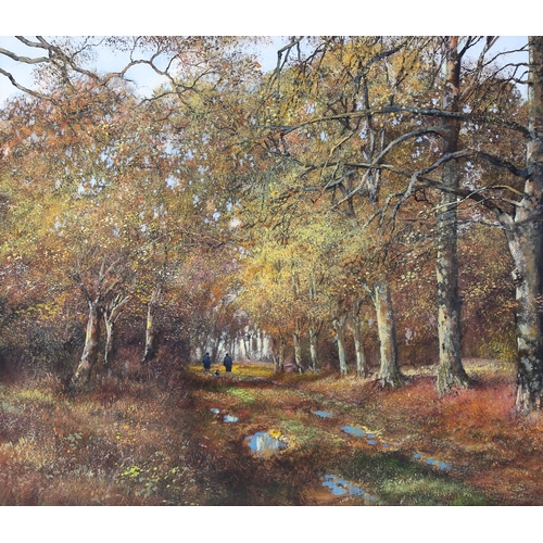 1617 - Clive Madgwick, pastel/watercolour, woodland scene, signed with monogram, 32cm x 38cm, framed