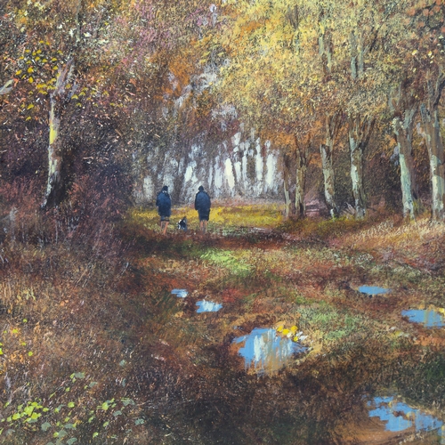 1617 - Clive Madgwick, pastel/watercolour, woodland scene, signed with monogram, 32cm x 38cm, framed