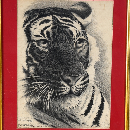 1636 - Trajan St Ines (1902 - 1995), pen and ink drawing, tiger, signed and inscribed, 33cm x 24cm, framed