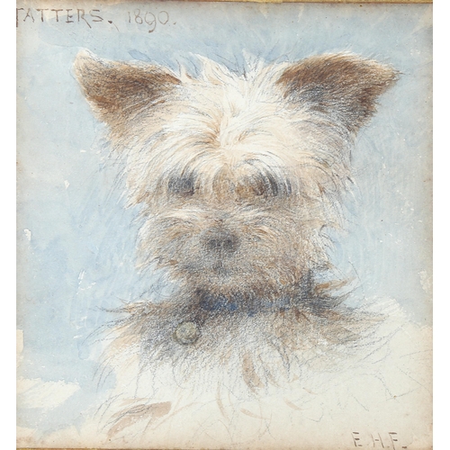 1645 - Edward Fahey (1844 - 1907), watercolour, portrait of a Terrier 