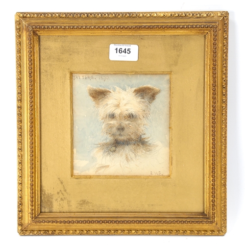 1645 - Edward Fahey (1844 - 1907), watercolour, portrait of a Terrier 