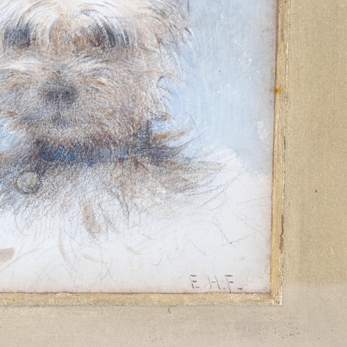 1645 - Edward Fahey (1844 - 1907), watercolour, portrait of a Terrier 