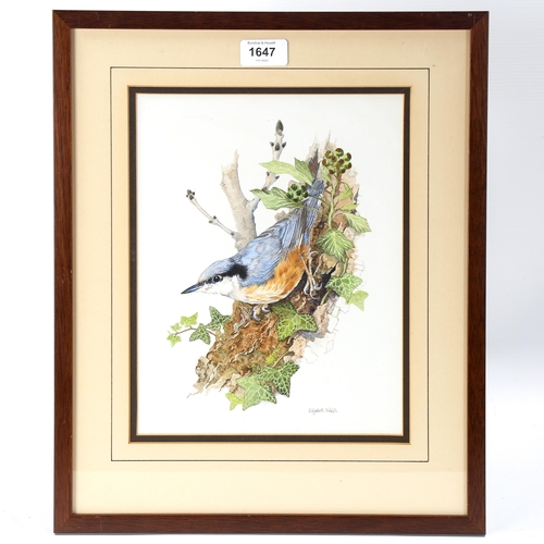 1647 - Elizabeth Walsh (born 1946), watercolour, garden bird, signed, 28cm x 22cm, framed