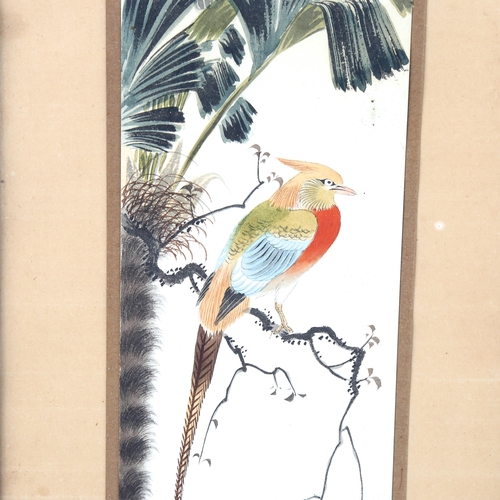 1670 - 3 Chinese watercolours on paper, bird studies, largest 30cm x 5cm, early 20th century, signed (3)