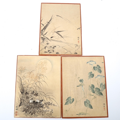 1690 - Chinese School, 5 watercolours, insects and plants, signed with chop, 23cm x 17cm, unframed (5)