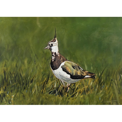 1788 - Michael Jevon, gouache on card, lapwing, signed, 34cm x 44cm, framed