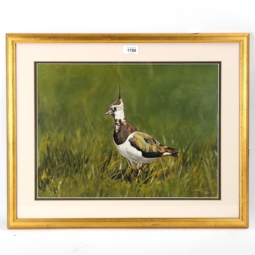 1788 - Michael Jevon, gouache on card, lapwing, signed, 34cm x 44cm, framed