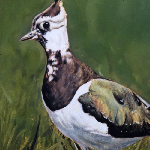 1788 - Michael Jevon, gouache on card, lapwing, signed, 34cm x 44cm, framed