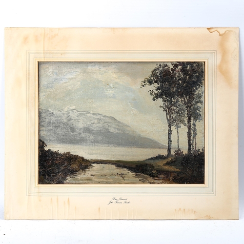 1808 - John Francis Smith (American, 1868 - 1941), oil on canvas laid on card, Ben Lomond Scotland, 30cm x ... 