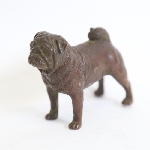 126 - A miniature bronze pug dog, unsigned, length 7cm