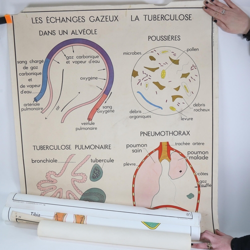 741 - Rudolf Schick, mid-century classroom Respiratory System poster, circa 1945