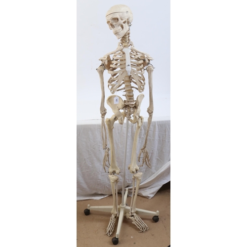 908 - A replica skeleton on a wheeled stand, overall height 158cm