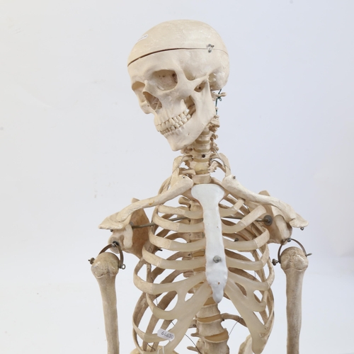 908 - A replica skeleton on a wheeled stand, overall height 158cm