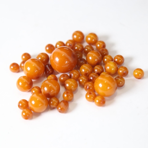 1239 - An amber bead necklace, unmounted, 29g