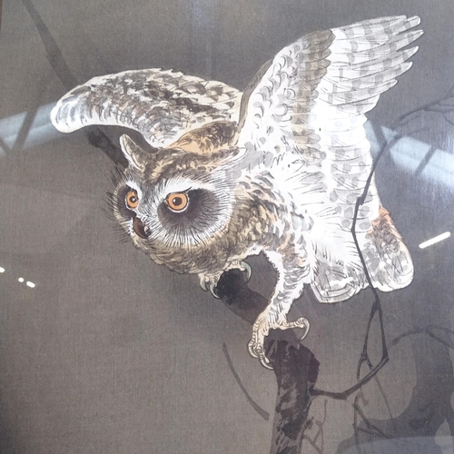 1330 - A Japanese coloured print, owl study, with red seal mark, framed, overall 45cm x 28cm