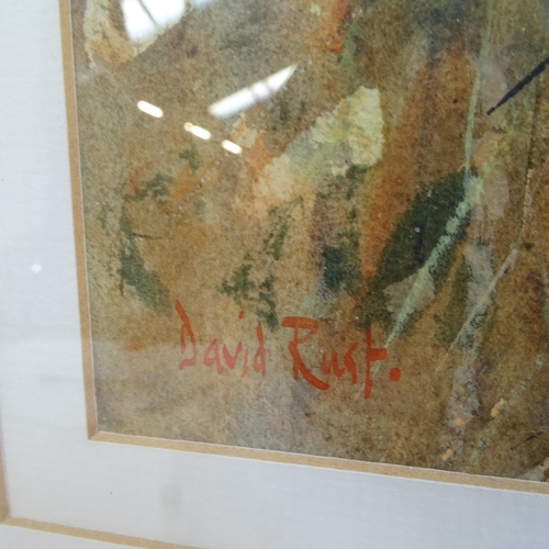 1367 - David Rust, 3 watercolours, countryside and farmyard scenes, signed, framed, largest overall 64cm x ... 