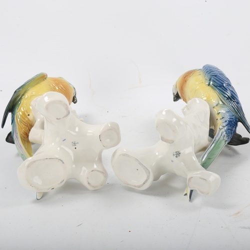 1283 - A pair of Karl Ens porcelain parrots, height 24cm