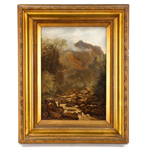 1549 - 19th century oil on canvas, mountain stream, indistinctly signed, 36cm x 25cm, framed