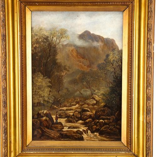 1549 - 19th century oil on canvas, mountain stream, indistinctly signed, 36cm x 25cm, framed