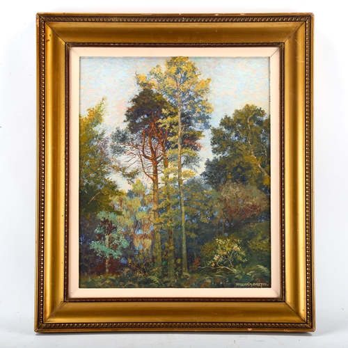 1562 - William Baxter, oil on board, tree study, original label verso, 40cm x 33cm, framed