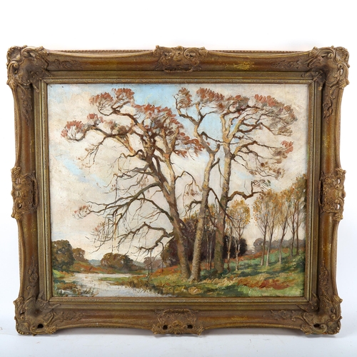 1566 - Oil on canvas, impressionist tree study, unsigned, 50cm x 60cm, framed