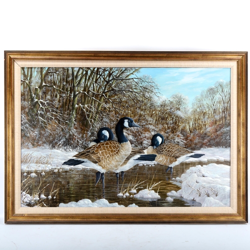 1570 - David Godden, oil on canvas, Canada geese, signed, 60cm x 100cm, framed