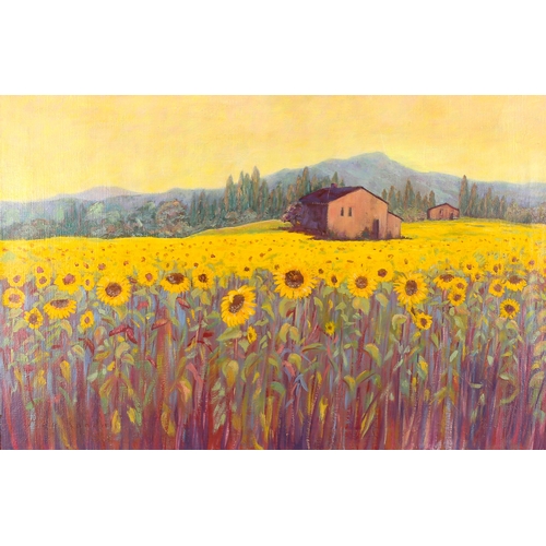 1584 - Meg Randell, oil on canvas, sunflowers at evening, 50cm x 75cm, framed