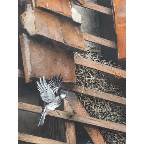 1627 - Steve Shooter, mixed media, Pied Wagtail, signed and dated 1983, 42cm x 33cm, framed