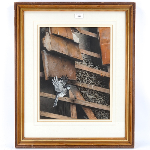 1627 - Steve Shooter, mixed media, Pied Wagtail, signed and dated 1983, 42cm x 33cm, framed