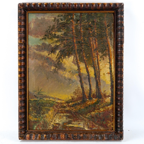 1640 - French School, early 20th century oil on canvas, woodland scene, signed, 57cm x 41cm, framed