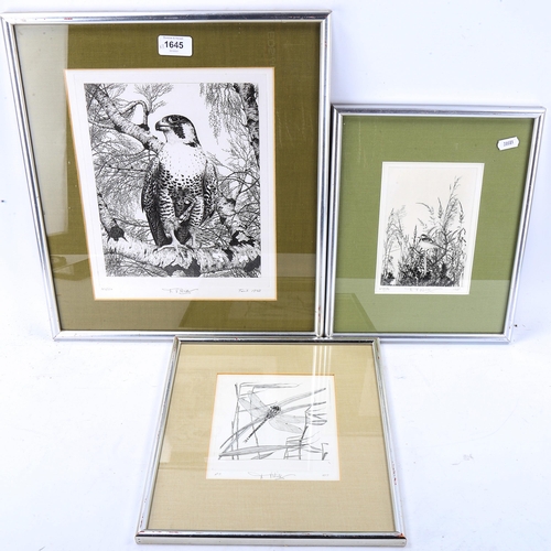 1645 - D V Wicks, 3 engravings, Bird of Prey and wildlife, all signed in pencil, framed (3)