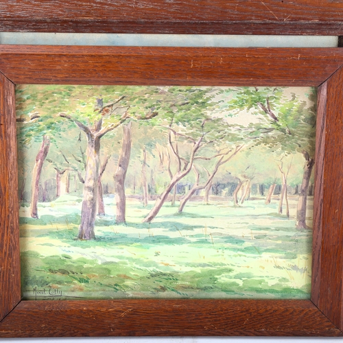 1649 - M Colly, 2 watercolours, woodland scenes, signed, largest 26cm x 35cm, framed