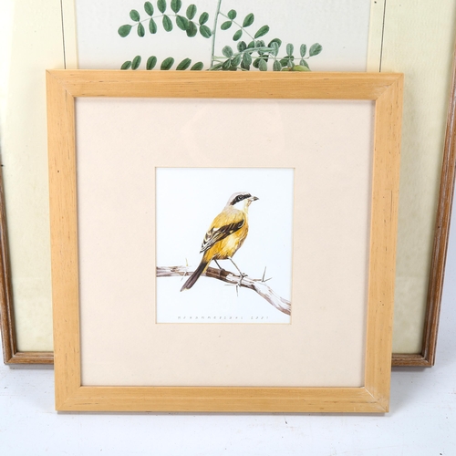 1661 - 3 various watercolours, wildlife studies, various artists, framed (3)