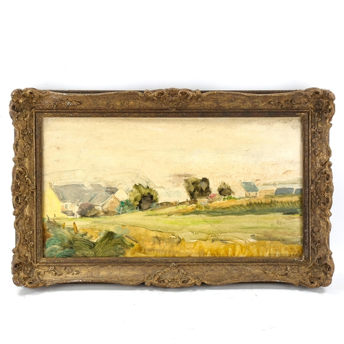 1674 - Early 20th century Irish School, oil on board, impressionist landscape, indistinctly signed, 30cm x ... 