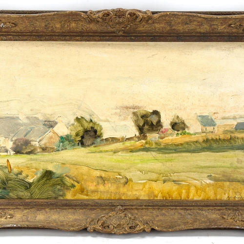 1674 - Early 20th century Irish School, oil on board, impressionist landscape, indistinctly signed, 30cm x ... 