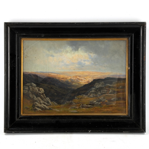 1688 - 19th century British School, oil on board, moorland landscape, indistinctly signed, 26cm x 34cm, fra... 