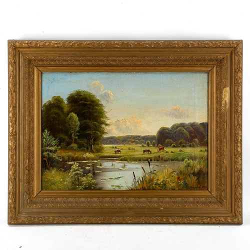 1715 - J Bisgaard, oil on canvas, cattle in landscape, signed, 34cm x 47cm, framed