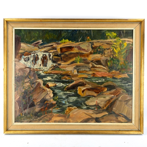 1719 - Clifton Wellington Greer, 2 oils on board, rock pool, 60cm x 75cm, and landscape, 30cm x 39cm, frame... 