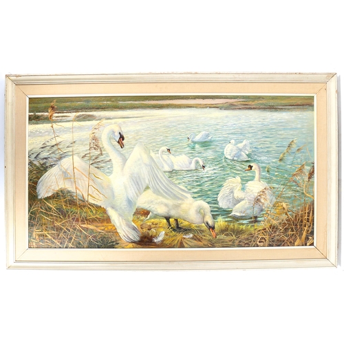 1729 - Spencer Roberts, oil on board, swans, signed and dated 1971, 60cm x 114cm, framed