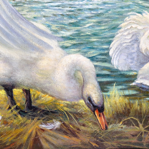 1729 - Spencer Roberts, oil on board, swans, signed and dated 1971, 60cm x 114cm, framed