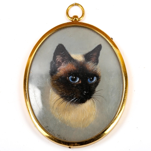 1750 - Barbara Tate (born 1927), miniature oil on board, Persian cat, signed, 7cm x 5.5cm